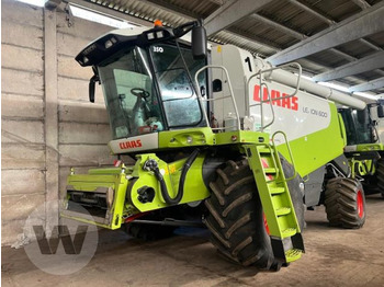 Mietitrebbia CLAAS Lexion 600