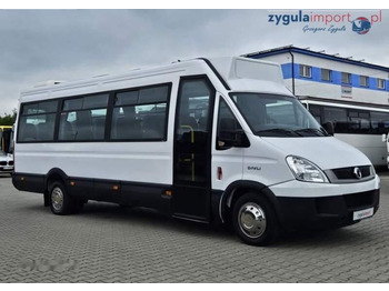 Minibus IVECO Daily