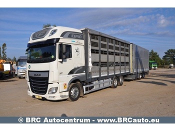 Van trasporto cavalli DAF XF 460