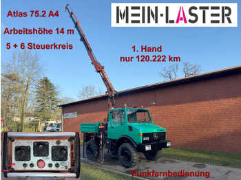 Camion con gru UNIMOG U1200