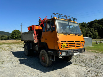 Autocarro ribaltabile STEYR