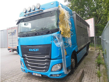 Autocarro trasporto bestiame DAF XF 106 460