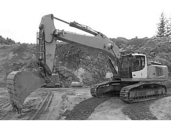 Escavatore cingolato LIEBHERR