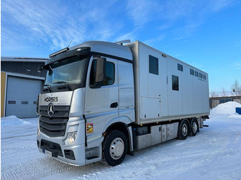 Autocarro trasporto bestiame MERCEDES-BENZ Actros