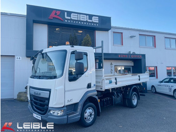 Leasing di DAF LF210 Dreiseitenkipper*Meiller*3-Sitzer  DAF LF210 Dreiseitenkipper*Meiller*3-Sitzer: foto 3