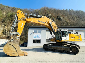 Escavatore cingolato Liebherr R976 HD (3946): foto 2