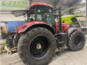 Trattore Case-IH puma 185 cvx CVX: foto 3