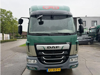 Leasing di DAF LF 260 4X2 16T DHOLLANDIA LOAD LIFT + TÜV TILL 0  DAF LF 260 4X2 16T DHOLLANDIA LOAD LIFT + TÜV TILL 0: foto 2