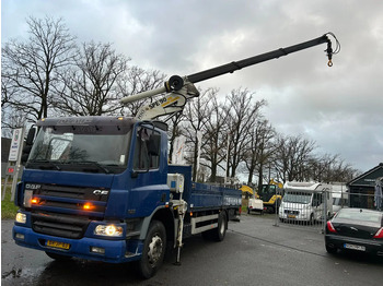 Camion con gru DAF CF 310