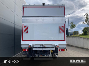 Leasing di DAF XB 290 FA 16t Pritsche Schiebeplane Edscha LBW K  DAF XB 290 FA 16t Pritsche Schiebeplane Edscha LBW K: foto 4