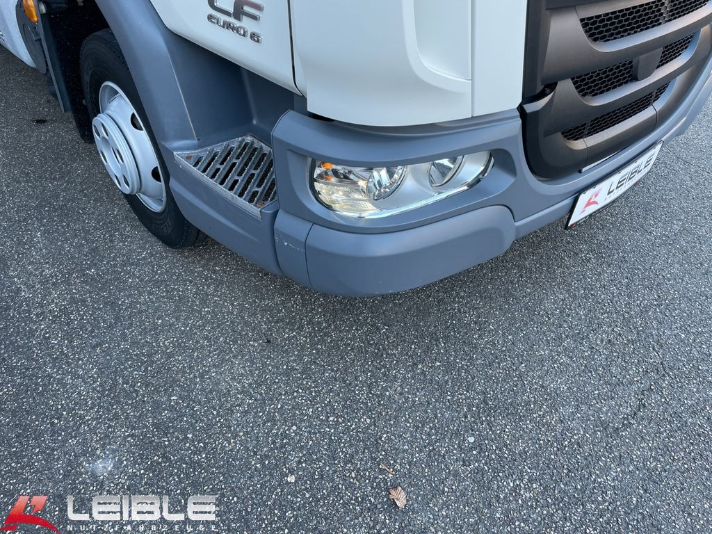 Leasing di DAF LF210 Dreiseitenkipper*Meiller*3-Sitzer  DAF LF210 Dreiseitenkipper*Meiller*3-Sitzer: foto 8