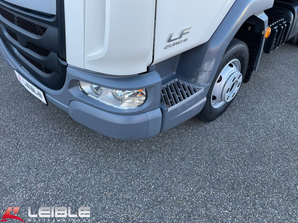 Leasing di DAF LF210 Dreiseitenkipper*Meiller*3-Sitzer  DAF LF210 Dreiseitenkipper*Meiller*3-Sitzer: foto 9